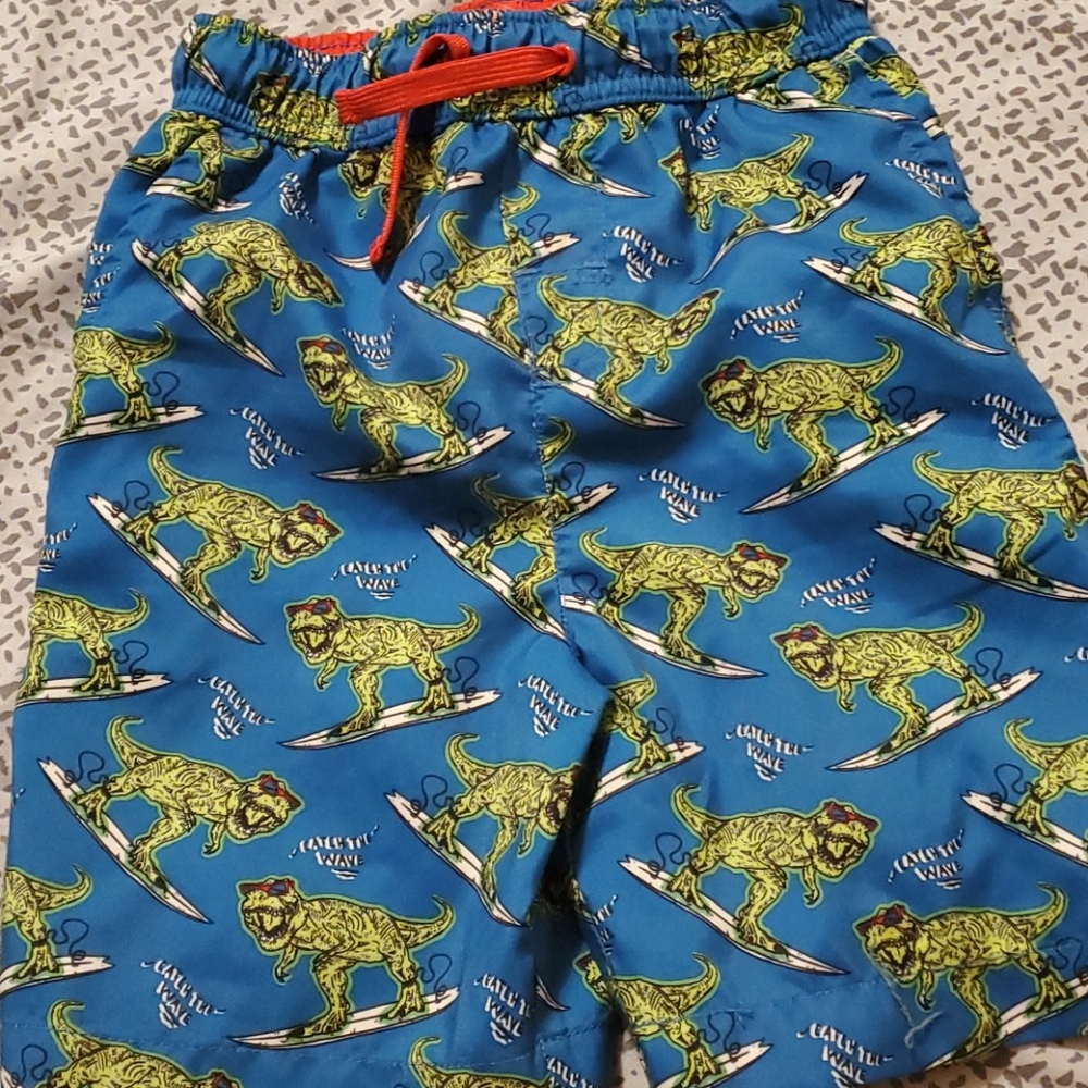 Euc boys dino swimsuit